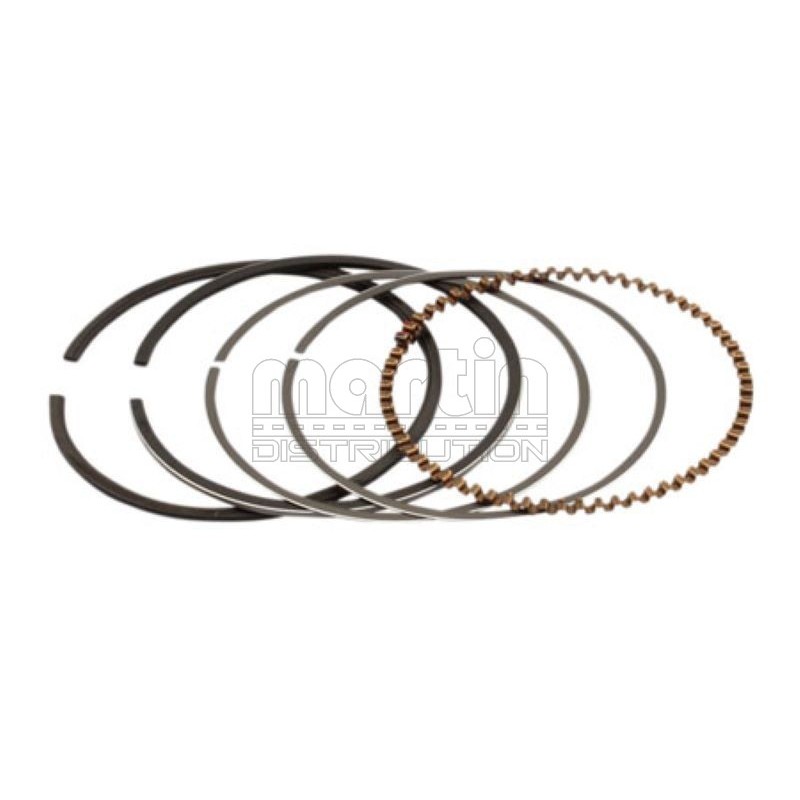 jeu-de-segments-665-mm-kawasaki-z1900-13025-0465004