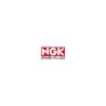 NGK Spark Plugs